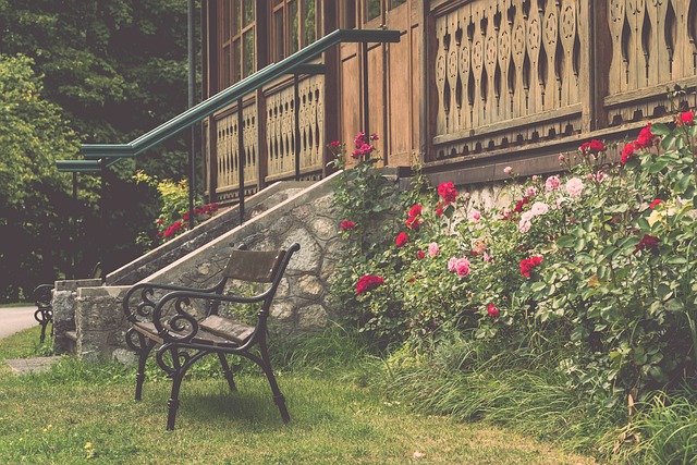 技巧的展现 技巧的展现