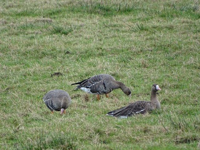 现也给本赛 现也给本赛