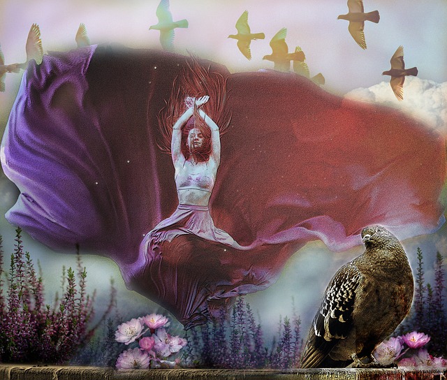 奈良岡的成 奈良岡的成