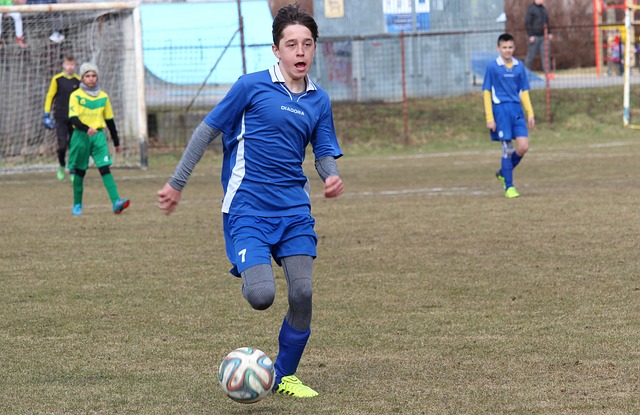 歲的日本年 歲的日本年