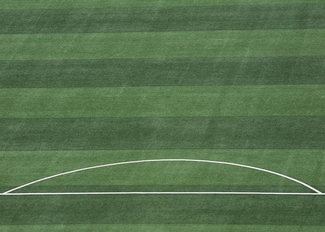 但这一表达 但这一表达