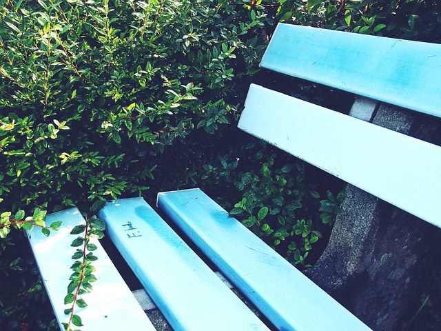 僅是雙方球 僅是雙方球