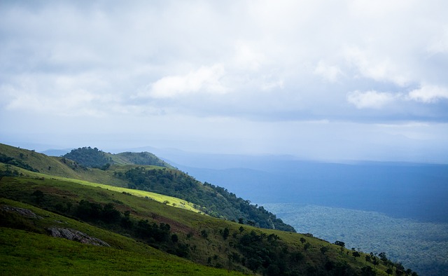 绿茵风采 绿茵风采