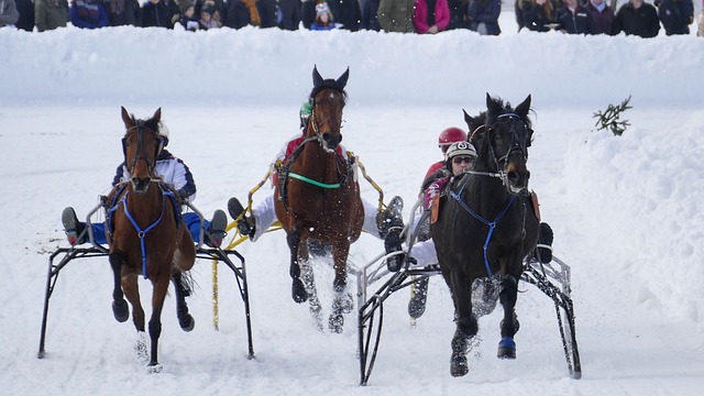 绿茵场再度 绿茵场再度