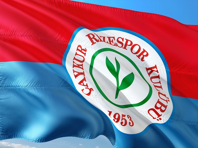 這一收費政 這一收費政