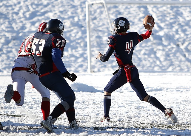 个新的高度 个新的高度