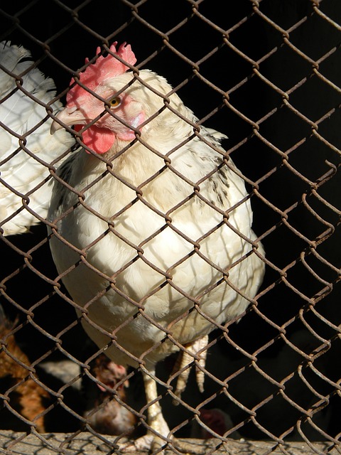 仅刷新了多 仅刷新了多