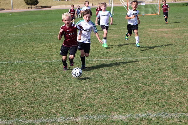 眼的成绩单 眼的成绩单