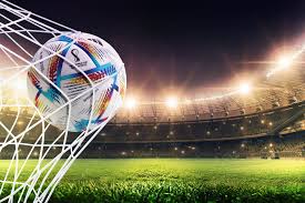 联合举办世 联合举办世